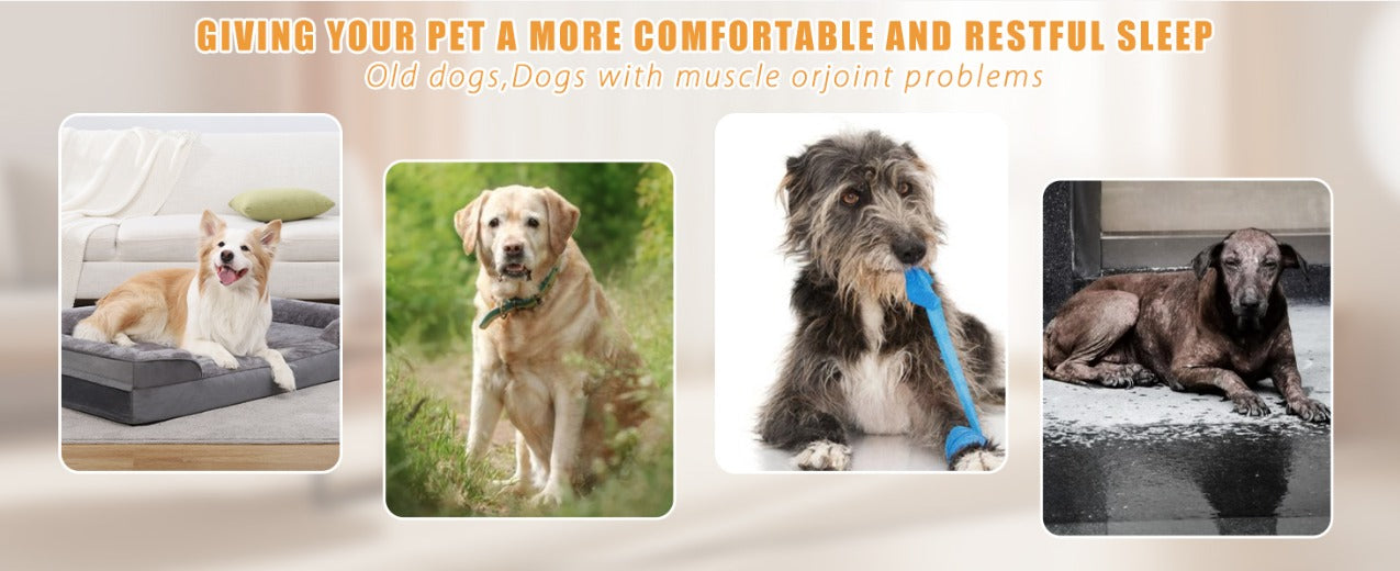 SnoozyDog™ Orthopedisch Hondenbed